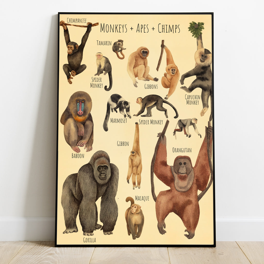 A Beautiful Selection - Canvas And Poster