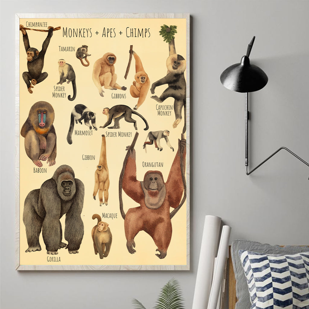 A Beautiful Selection - Canvas And Poster