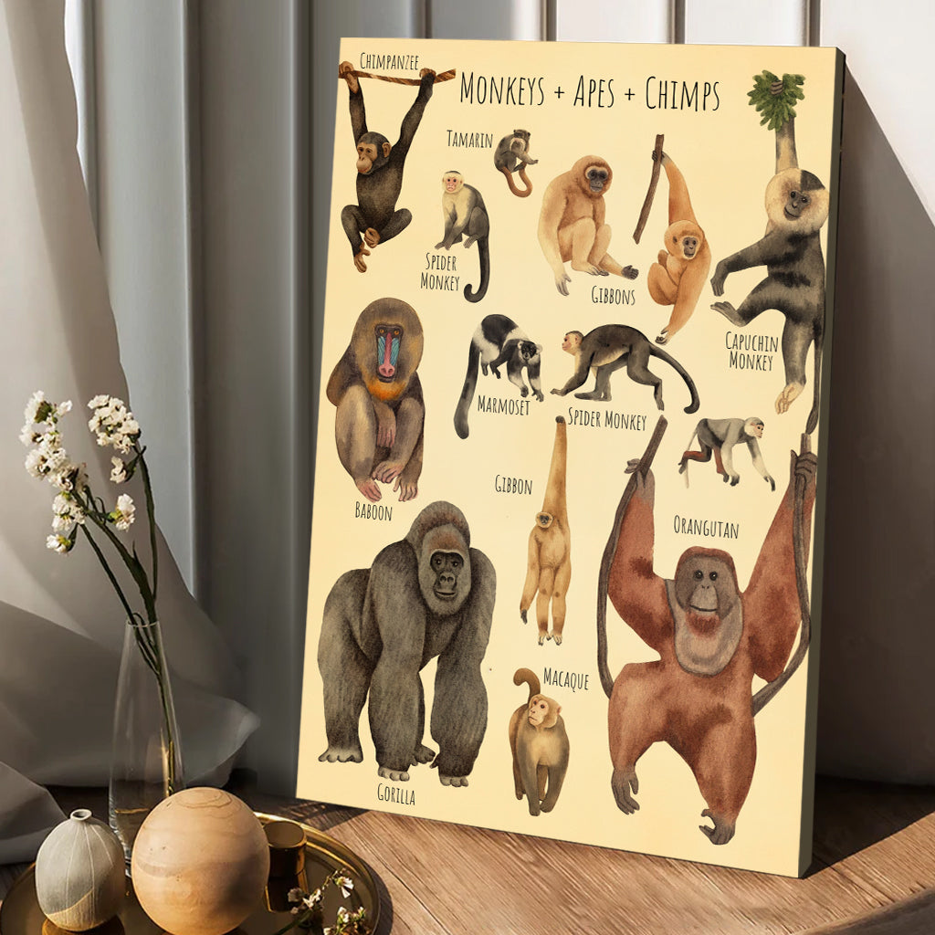 A Beautiful Selection - Canvas And Poster