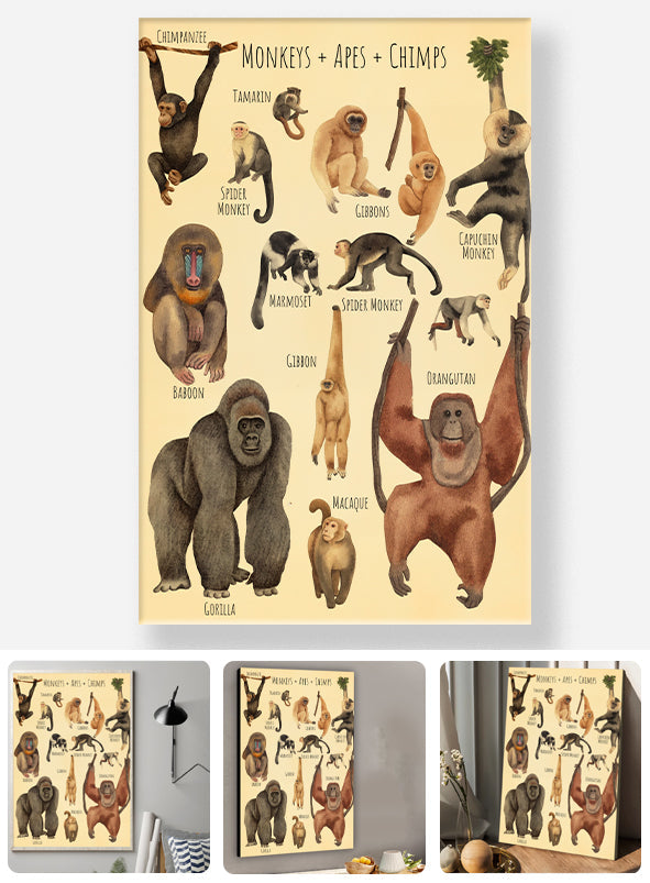 Une magnifique sélection - Toiles et affiches