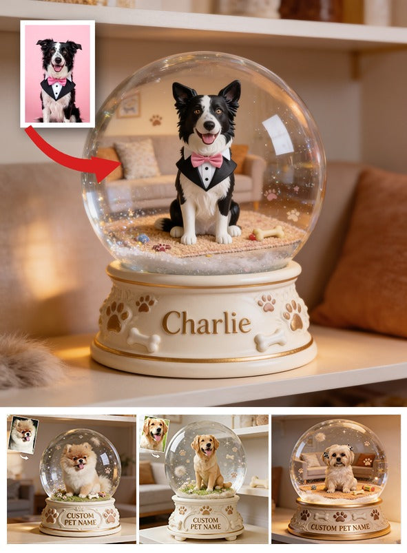 Personalized Black and White Border Collie Snow Globe Table Decor Pet Lover Gift