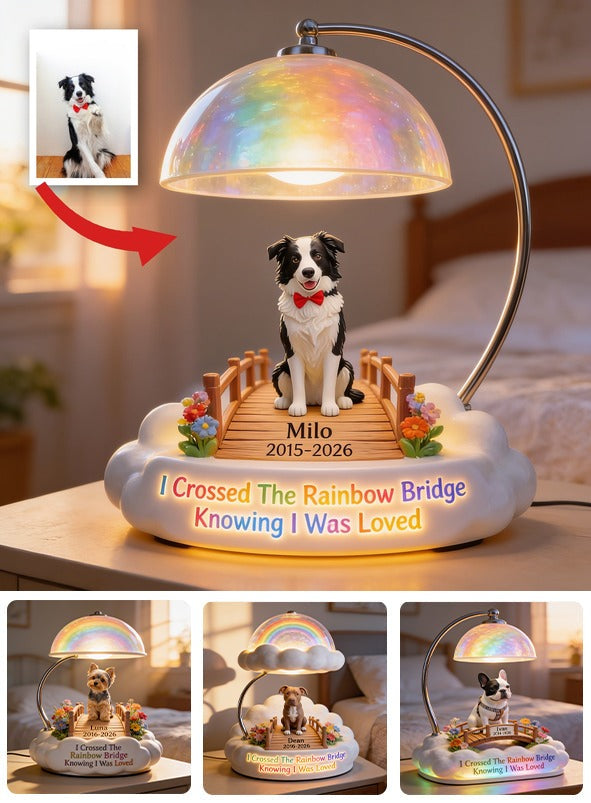 J'ai Traversé Le Pont Arc-en-Ciel - Lampe De Nuit LED Acrylique Personnalisée Pour Border Collie Noir Et Blanc