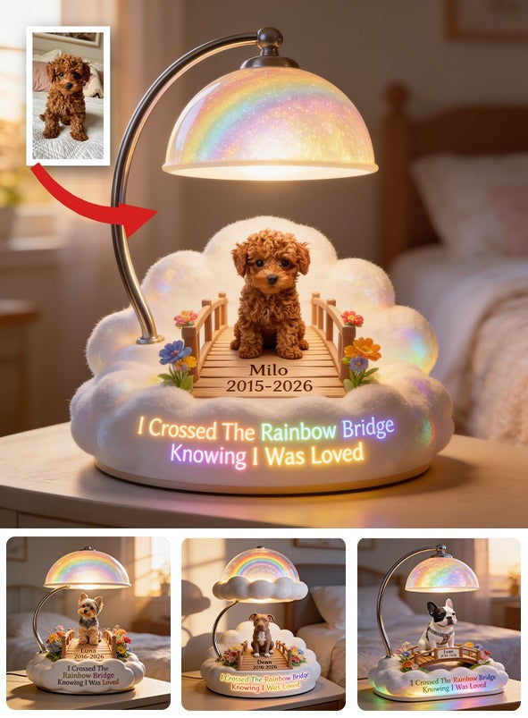J'ai traversé le Pont de l'Arc-en-Ciel - Lampe de Nuit LED Acrylique Personnalisée pour Caniche Toy Marron