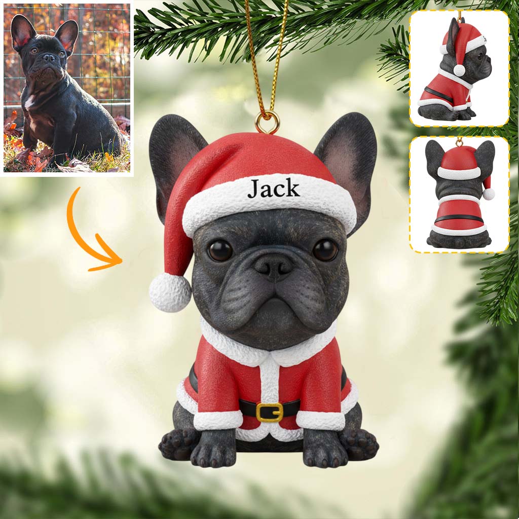 Poilu et brillant - Figurine miniature 3D personnalisée de bouledogue français