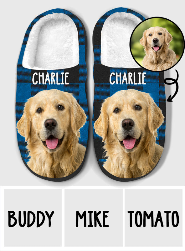 Pantoufles personnalisées pour chien