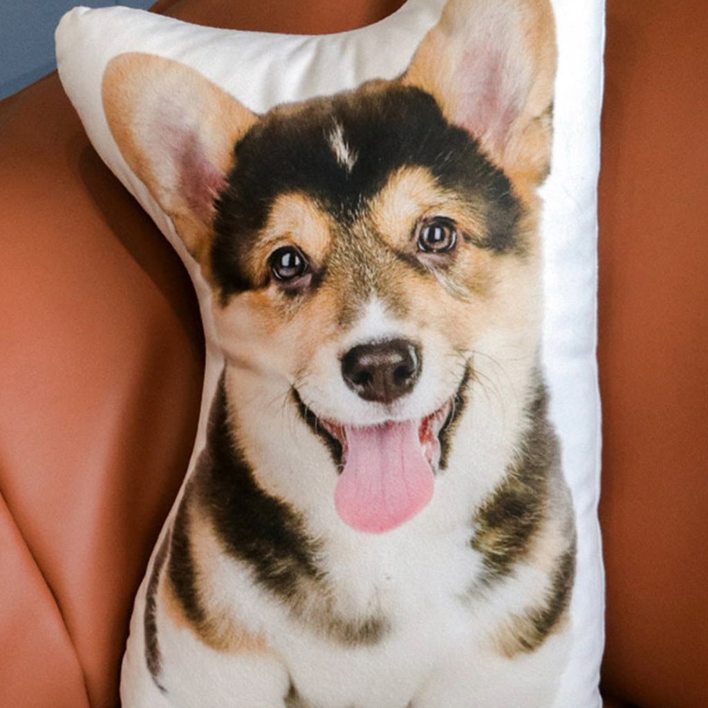 Pet Personalized Memorial Gift - Gift for dog lovers, who lost dog, who lost cat - Personalized Shaped Pillow