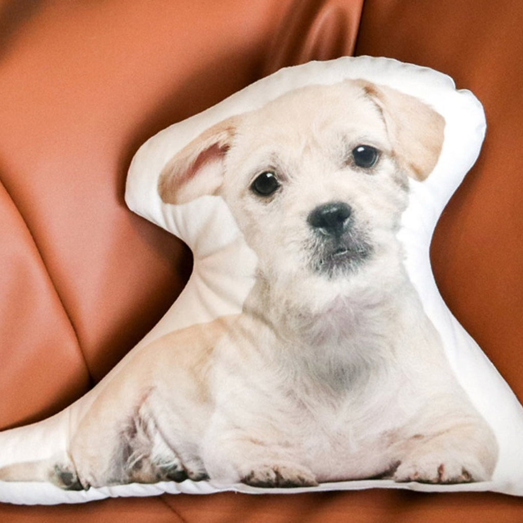 Pet Personalized Memorial Gift - Gift for dog lovers, who lost dog, who lost cat - Personalized Shaped Pillow