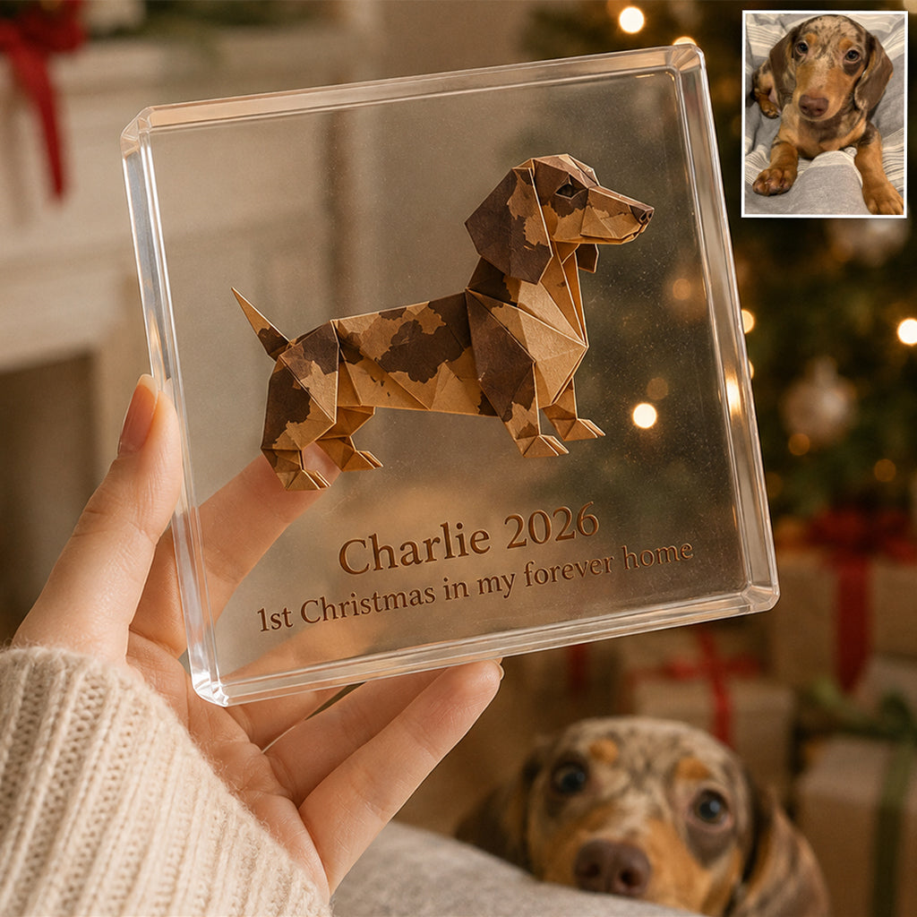 Plaque Acrylique Personnalisée pour Amoureux des Chiens et Chats - Photo Origami