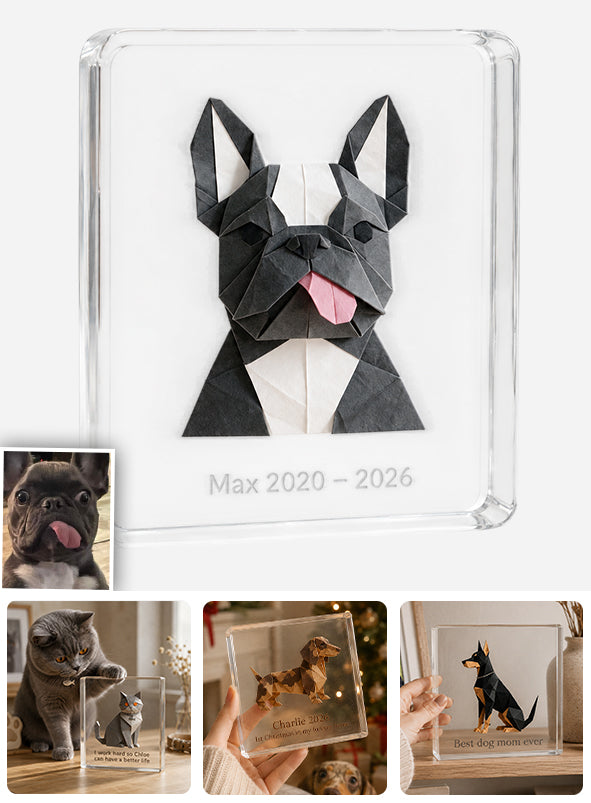 Plaque Acrylique Personnalisée pour Amoureux des Chiens et Chats - Photo Origami