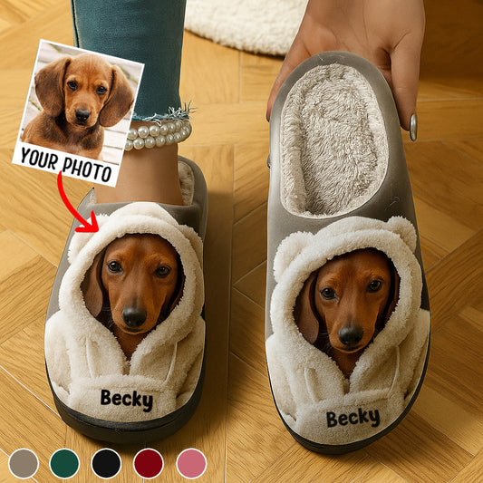 Hund im Winter-Hoodie – personalisierte Hundepantoffeln