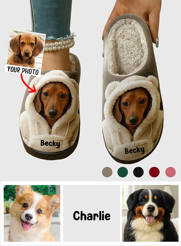 Hund im Winter-Hoodie – personalisierte Hundepantoffeln