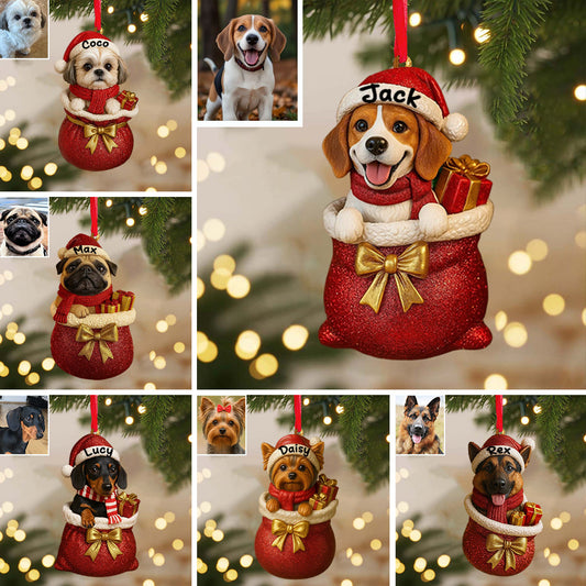 Chien de Noël - Ornement de Noël personnalisé pour chien