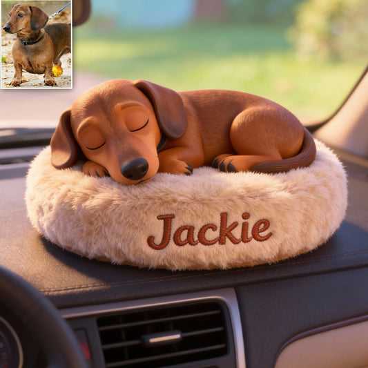 Plaque personnalisée pour tableau de bord de voiture « Chien endormi paisible »