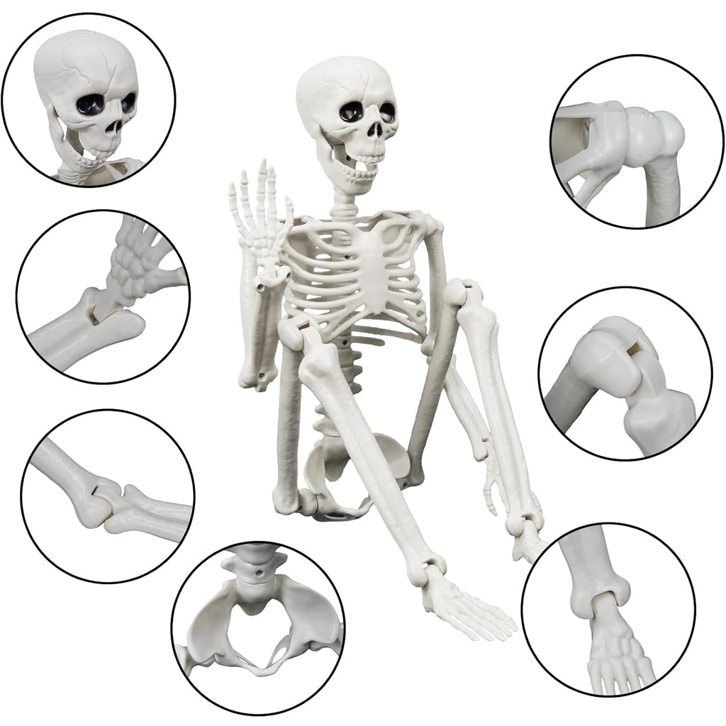 Beleuchtete Statue eines menschlichen & Hundeskeletts für den Außenbereich
