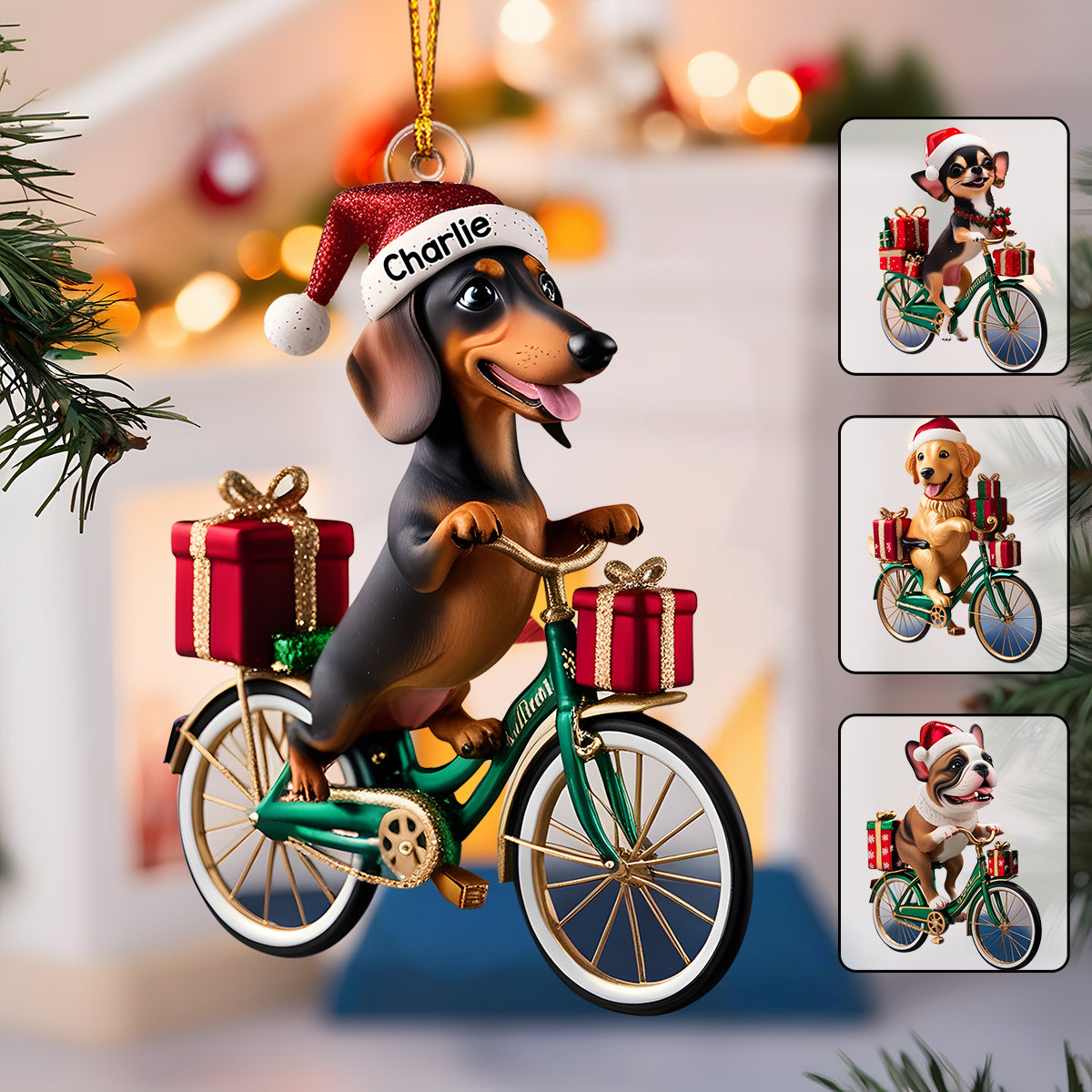 Hund fährt Fahrrad – Personalisierter transparenter Hundeanhänger