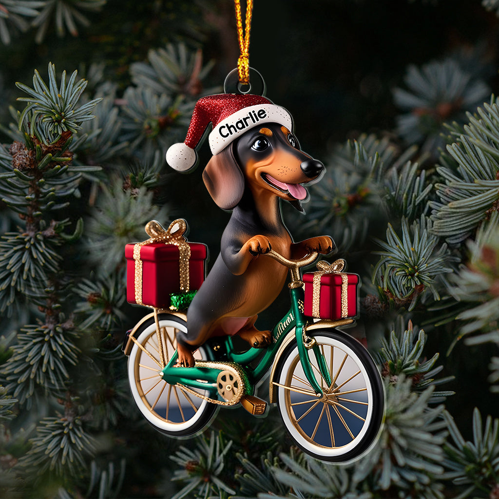 Hund fährt Fahrrad – Personalisierter transparenter Hundeanhänger