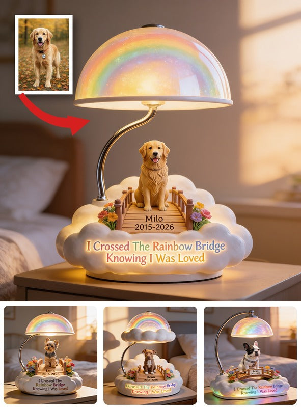 Personalisierte Tan Welsh Corgi Regenbogenbrücke Gedenk-Acryl-LED-Nachtlicht