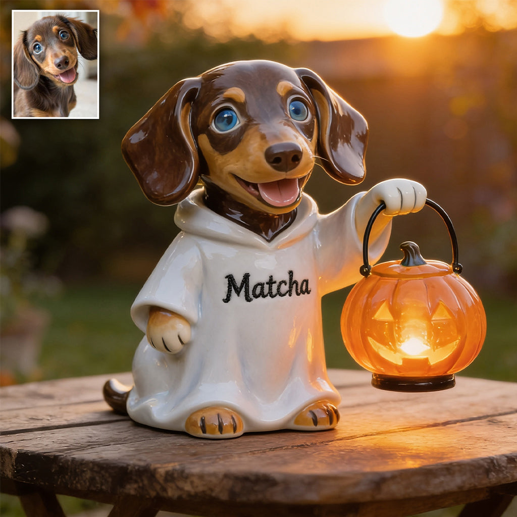 Personalized Fall Cute Shih Tzu Solar Acrylic Light Garden Decor Gift