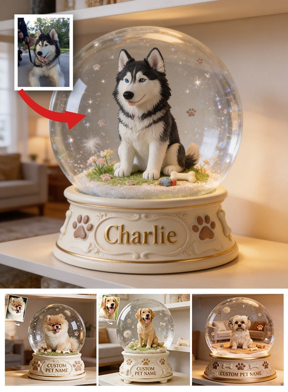 Personalized Blue Eyed Siberian Husky Acrylic Snow Globe Table Decor Dog Gift