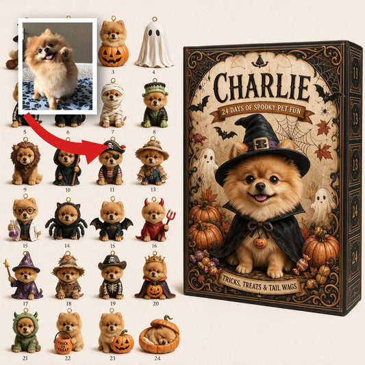 Calendrier de l'Avent Fluffy Golden Pomeranian Personnalisé pour Halloween avec Mini Ornements, Cadeau pour Amateurs de Chiens