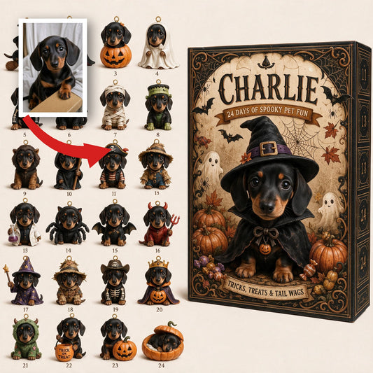 Calendrier de l'Avent Personnalisé pour Chiens Teckels Noir et Feu avec Ornements, Cadeau pour Amateurs de Chiens