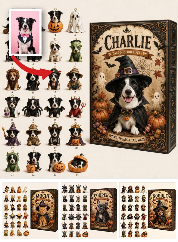Personalized Halloween Black and White Border Collie Advent Calendar Mini Ornament Gift