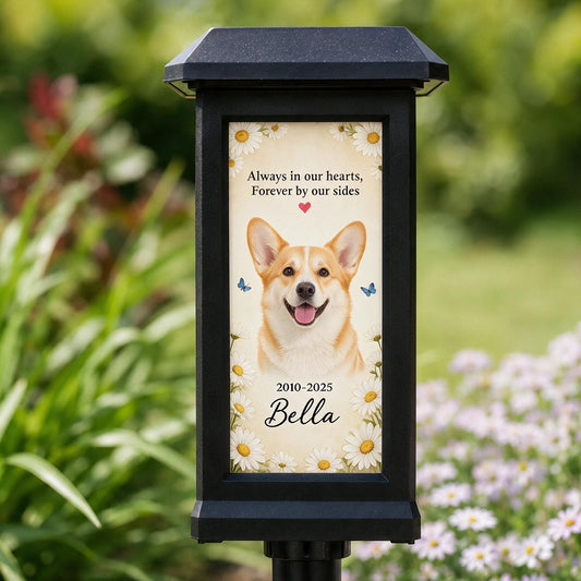 Personalisierte Solar-Gartenleuchte für Haustiergedenken - Individuelles Foto-Geschenk für den Verlust eines geliebten Haustiers