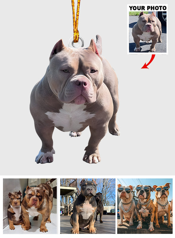 Ornement photo personnalisé - Ornement de chien sur mesure