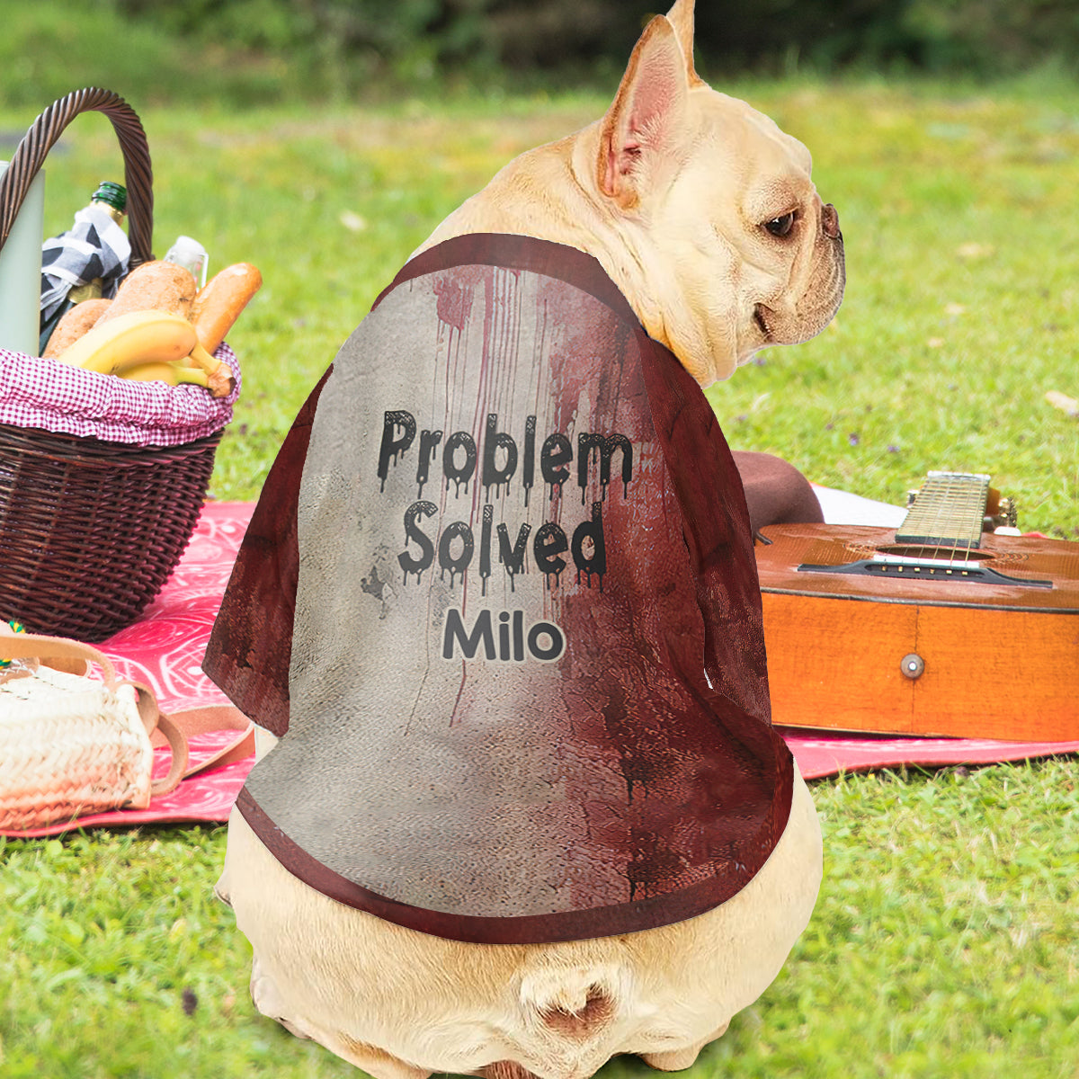 Probleme gelöst – personalisiertes Hunde-Shirt
