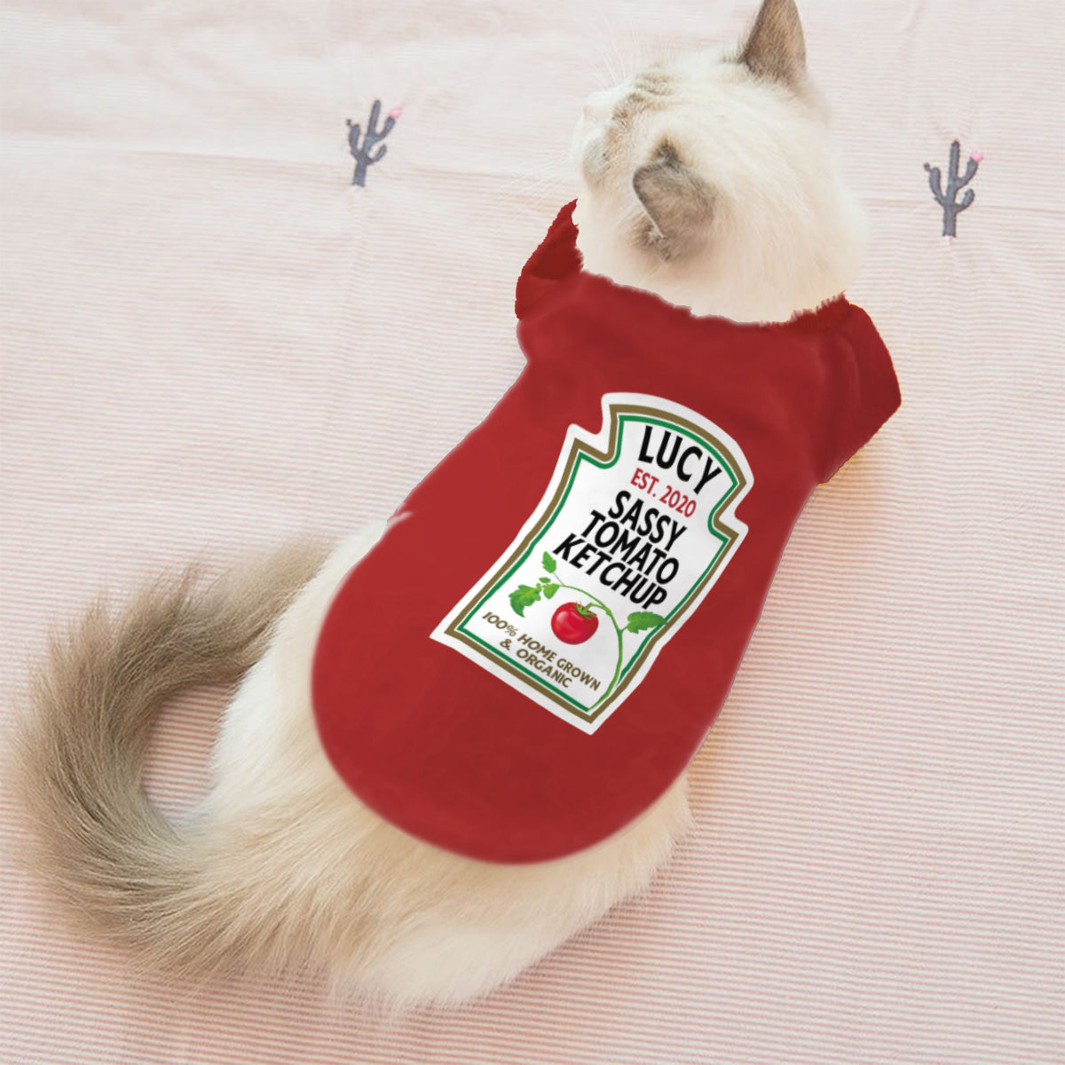 Sassy Ketchup Spicy Mustard Condiment Costume - Personalized Dog Pet Shirt