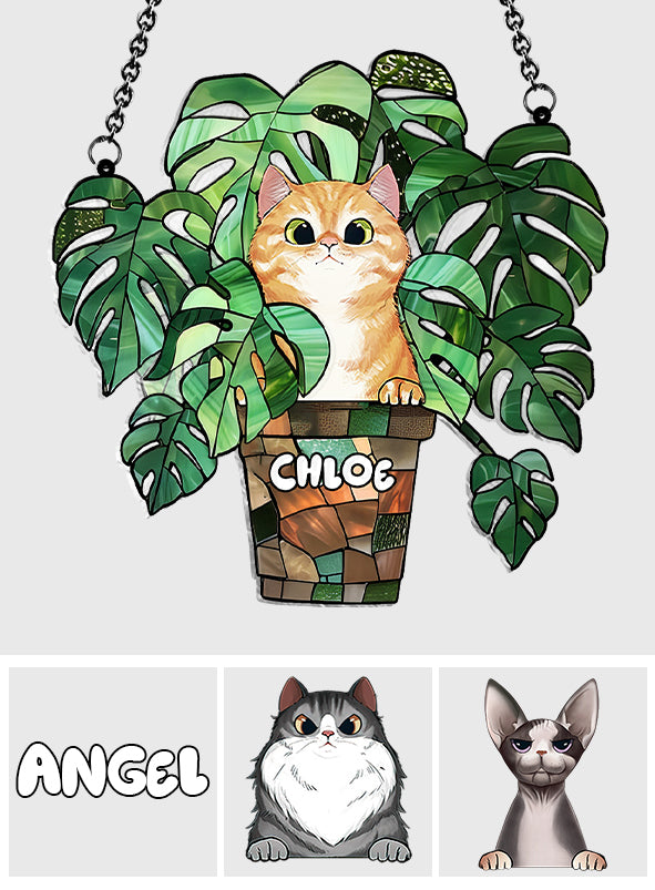 Chat qui regarde et Monstera - Attrape-soleil personnalisé à suspendre à la fenêtre avec motif chat 