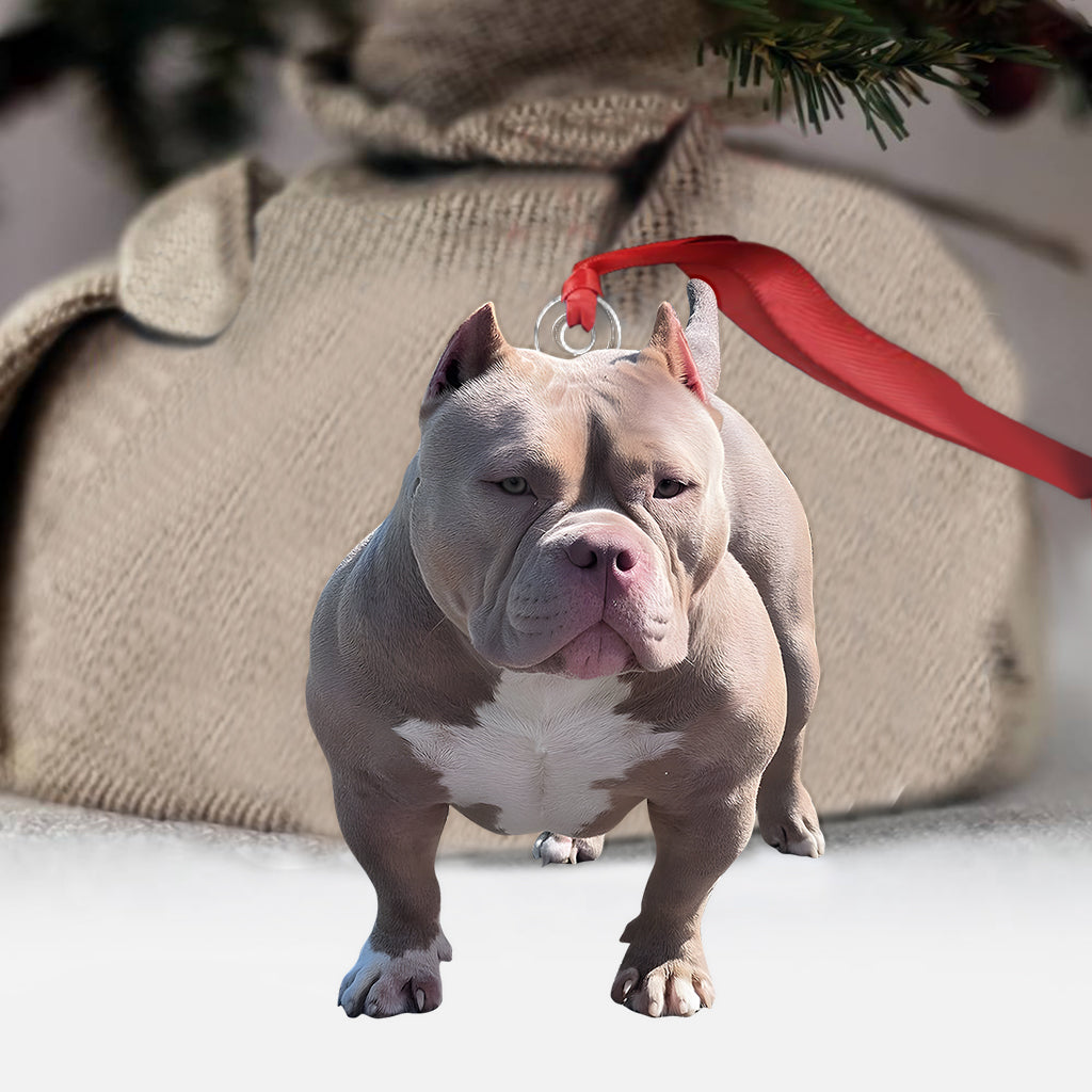 Ornement photo personnalisé - Ornement de chien sur mesure