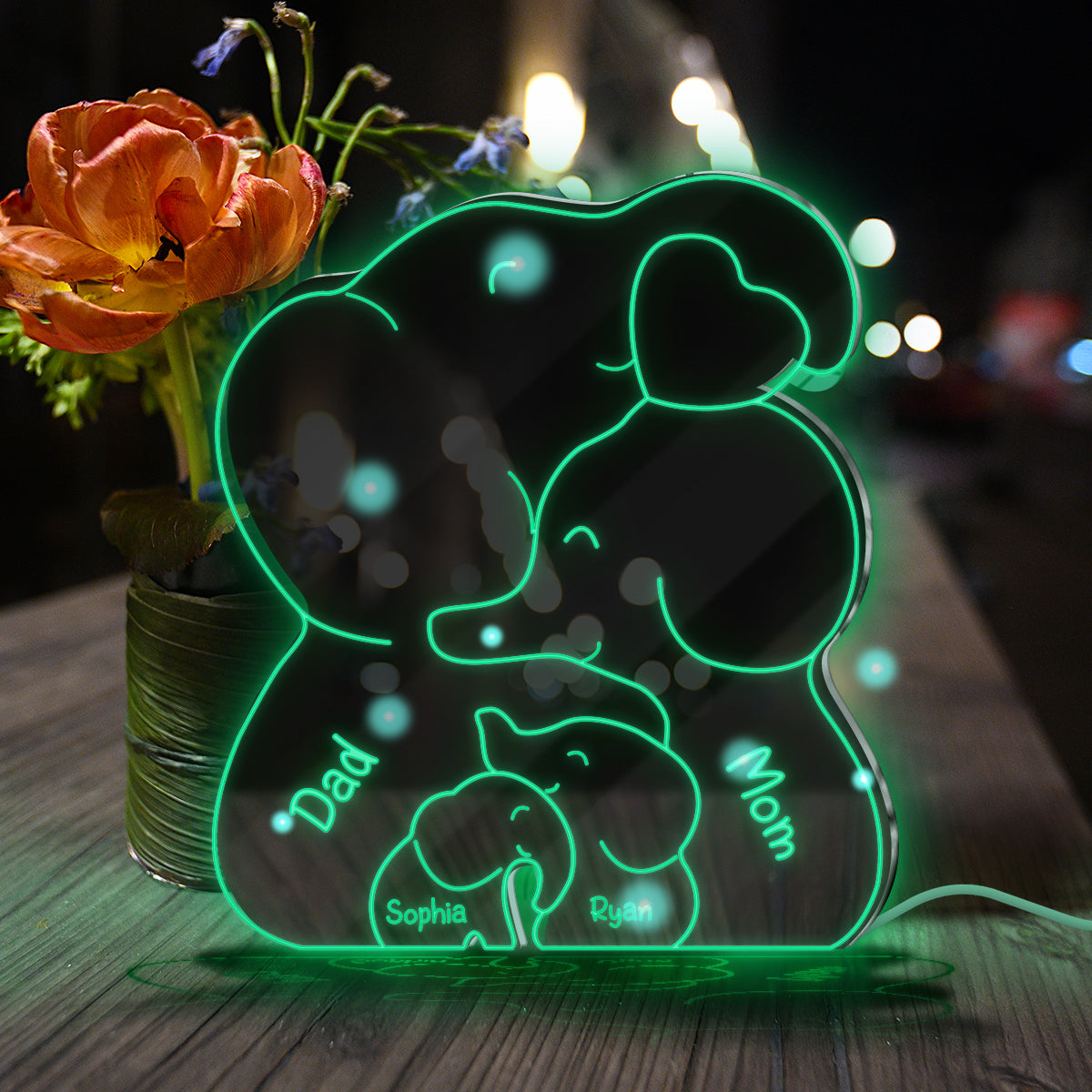 Famille Éléphants - Miroir Lumineux Personnalisé pour la Famille 