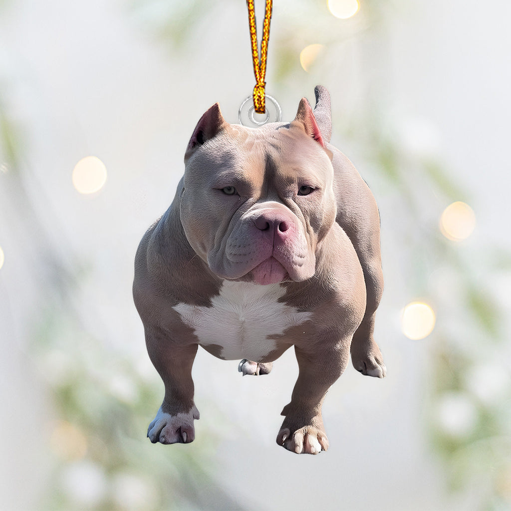 Ornement photo personnalisé - Ornement de chien sur mesure