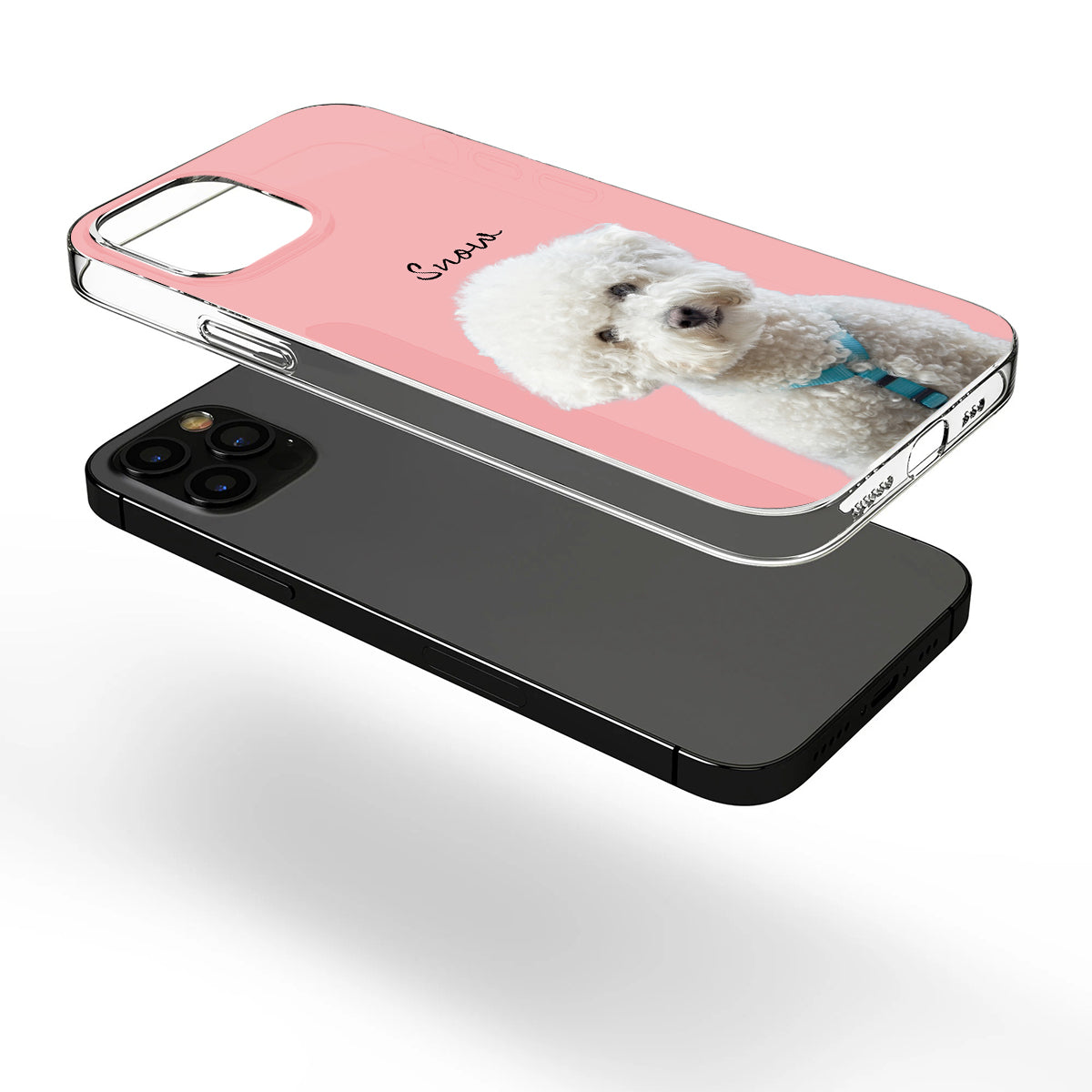 Niedliches Hunde- oder Katzenporträt – Personalisierte transparente Handyhülle mit Hundemotiv