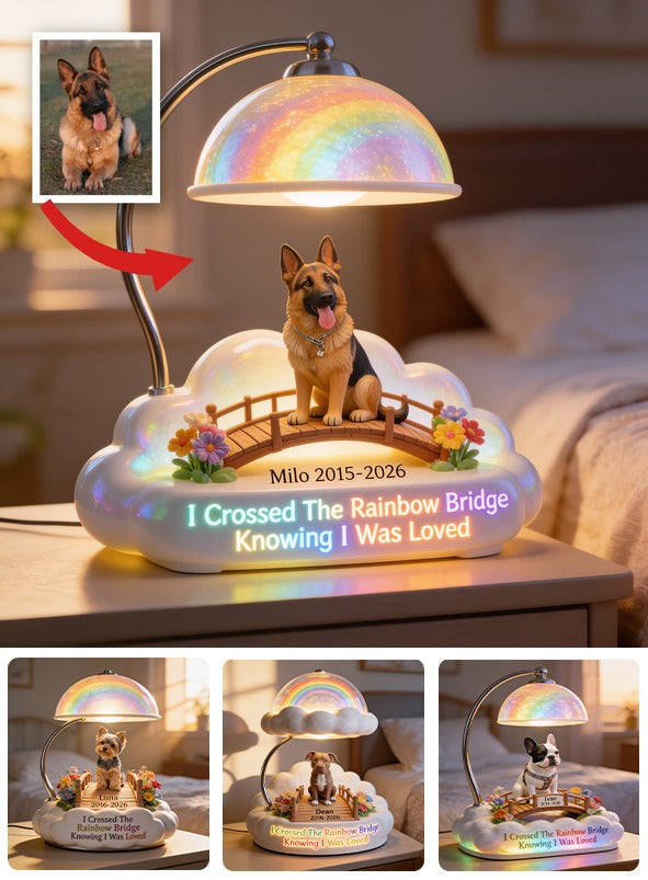 J'ai traversé le pont arc-en-ciel - Lampe de nuit LED acrylique personnalisée pour Berger Allemand