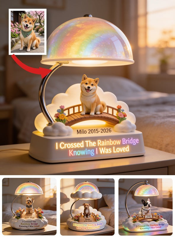 J'ai traversé le pont de l'arc-en-ciel - Lampe de nuit LED acrylique personnalisée Shiba Inu tan