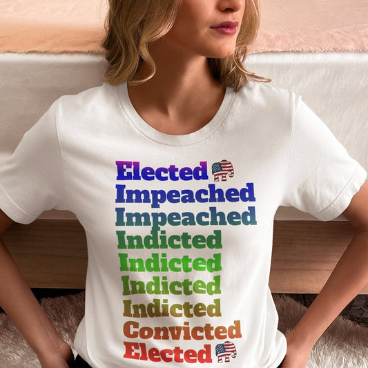 T-shirt et sweat à capuche « Élu, destitué, inculpé, condamné, pro-Trump » en coton épais, politique, présidentiel, 2024, anti-lois, républicain, cadeau