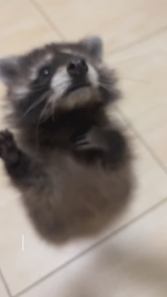 Just A Dad Who Always Came Back With The Milk - Personalized Father T-shirt And Hoodie