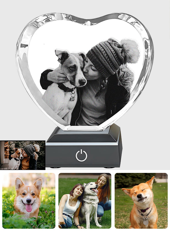 En souvenir d'un être cher - Cadeau pour les amoureux des chiens et des chats - Lampe en cristal 3D en forme de cœur avec gravure laser personnalisée