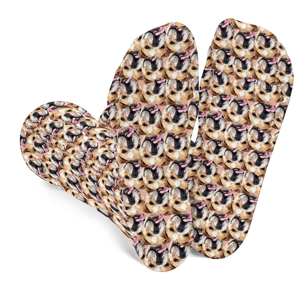 Chaussettes personnalisées pour chien avec motif imprimé