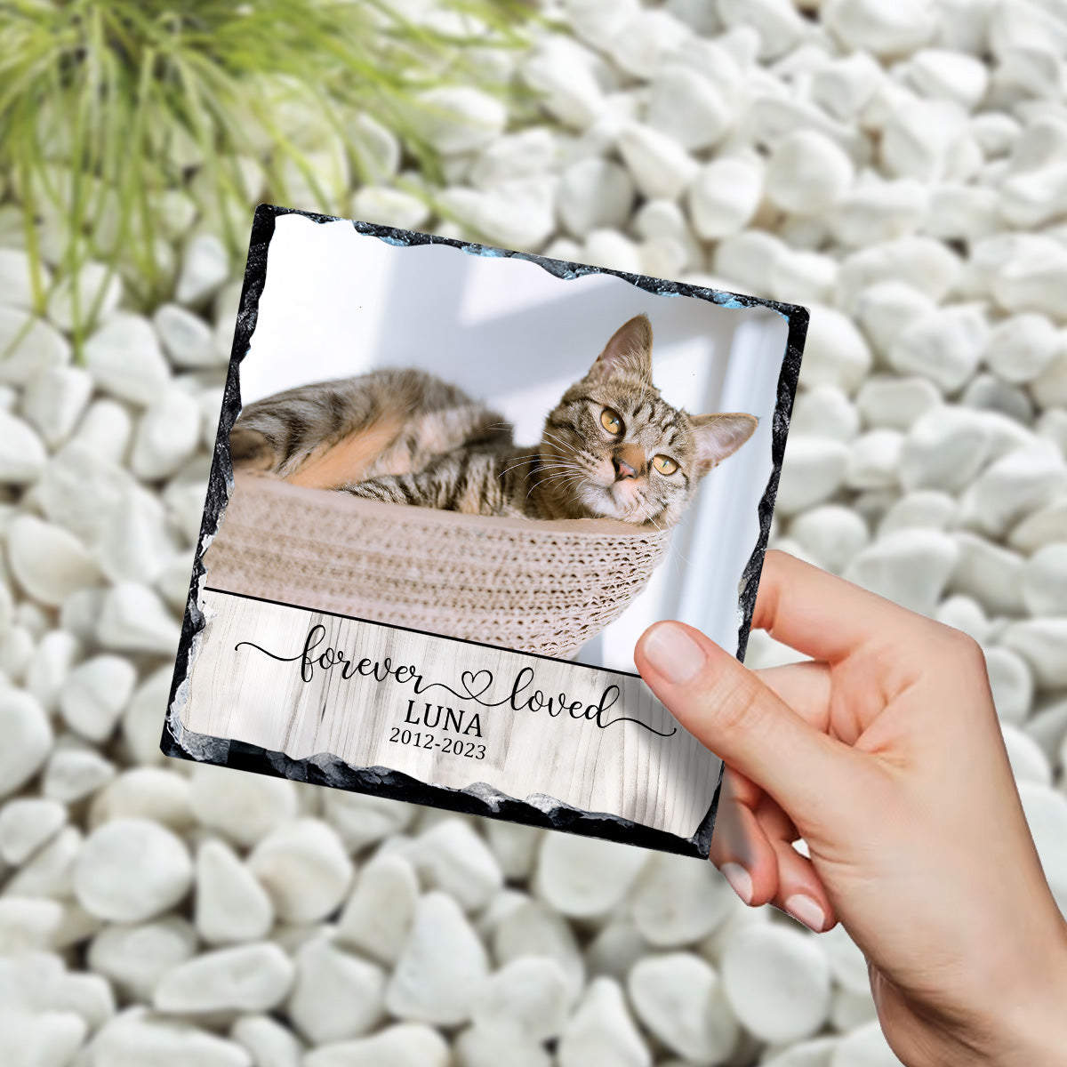 Für immer geliebte Katze/Hund – Geschenk für Hundeliebhaber, die ihre Katze oder ihren Hund verloren haben – Personalisierter quadratischer Stein