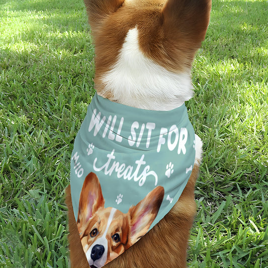 Bandana personnalisé pour chien « Assis pour des friandises »