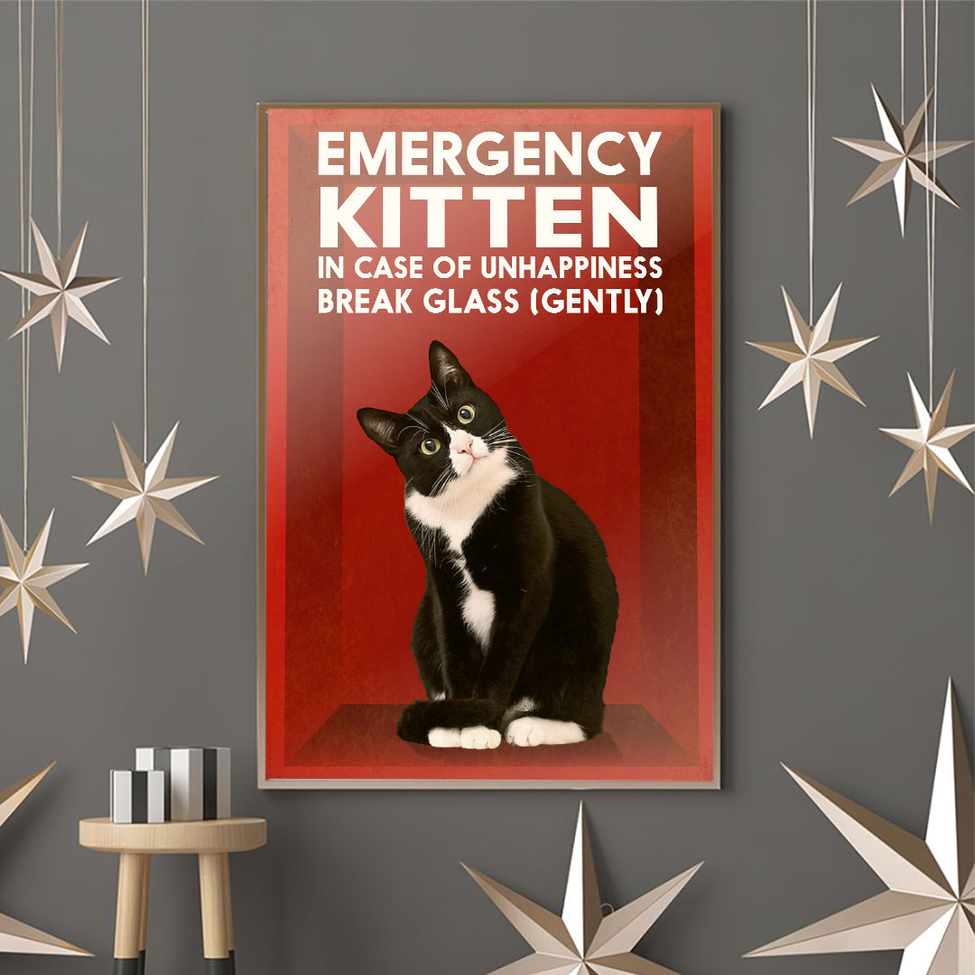 Für den Notfall – Katzenposter