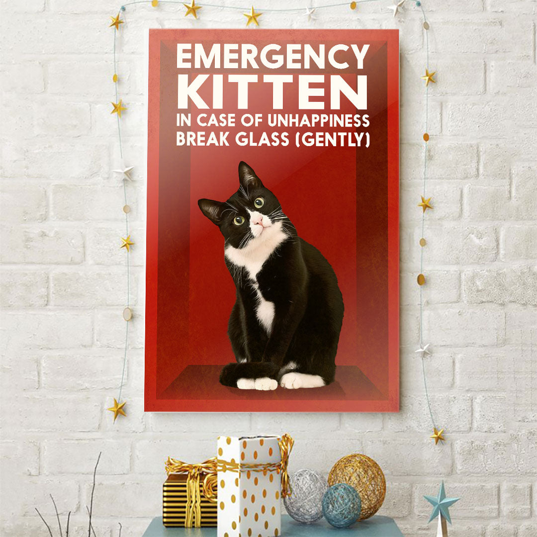 Für den Notfall – Katzenposter