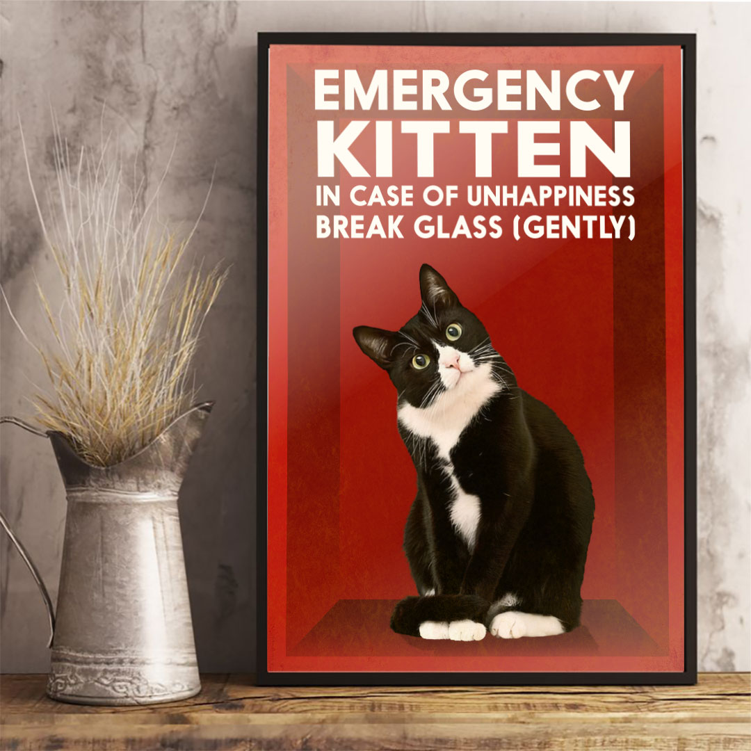Für den Notfall – Katzenposter